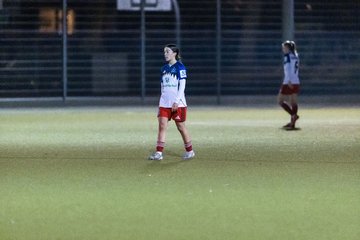 Bild 383 - F SC Alstertal-Langenhorn - Hamburger SV 3 : Ergebnis: 2:2